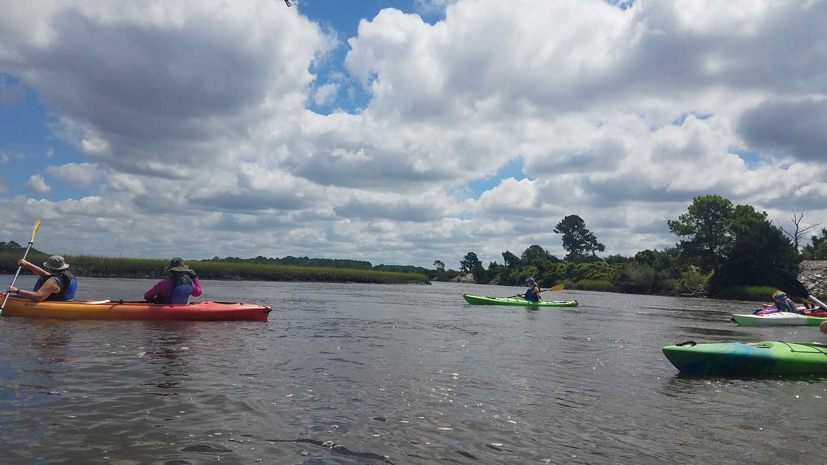 Charleston Kayak Tours & Shem Creek Kayak Tours